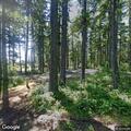 Emergency evaluation of 69-year-old woman at campground
