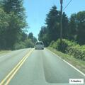 Tree blocking on-ramp on east 52 near Fales Road