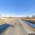 Deer blocking roadway on Highway 11 near Troy Mills