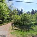 Downed tree reported on Millman Road