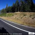 Erratic driver reported on US Highway 2 near Kila