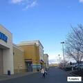 Child falls with head injury and serious bleeding at PetSmart