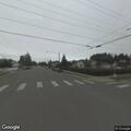 Dogs attack cat in roadway at Burlington intersection