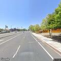 Dog running against traffic on southbound 880