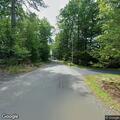 Fallen tree blocks Petersham Road near Doe Valley