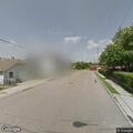 Loose dog complaint on Spruce Street