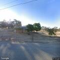 Loose cow creating road hazard on Millerton Road
