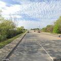 Cattle reported near roadway by South Main Street
