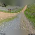 Horse rider reports harassment by e-bike riders