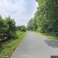 Tree down closes section of Ferry Road