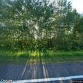 Deer in roadway to be put down near Lynn Road