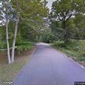 Tree blocking Broad Brook Road