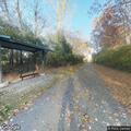 Tree limb causes small fire on power line