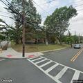 Low hanging tree branch at North Spring and Hoover