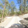 Elk stuck in fence at Ruidoso residence