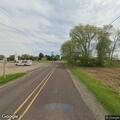 Cow blocking roadway at Toboggan and Warner