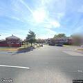 Loose dogs creating traffic hazard on roadway