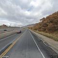 Dog lying in roadway on South Mountain Boulevard