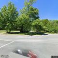 Loose dog in roadway at Seal Cove and Long Pond