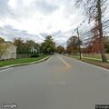 Loose small dog near Hillsdale bus stop