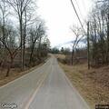 Turkeys blocking roadway on Mauney Road