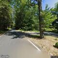 Loose dog behaving aggressively in roadway