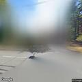 Dead deer blocking roadway at Eagle Rock and Old Chester