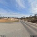 Deer in roadway near Healing Springs intersection