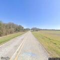 Loose cattle reported on rural roadway