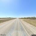 Cattle blocking Highway 35 near Aransas Pass