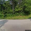 Injured deer reported after vehicle collision