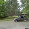Tree hazard reported near Western Avenue and Hickory