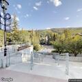 Bear in tree draws crowd at plaza in Vail