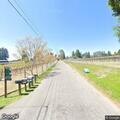 Tree partially blocking Taylor Lane roadway