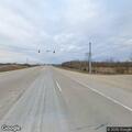 Dog struck in roadway causing traffic hazard
