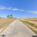 Loose cow reported in roadside ditch