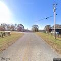 Dog carcass creating road hazard on Toney Road