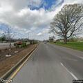 Deer in roadway causing traffic hazard