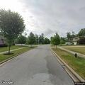 Loose brown dog near Orange Lake tennis courts
