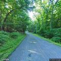 Injured deer in roadway at County Route 41