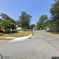 Fallen tree causes road hazard on Balsam Drive