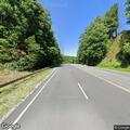 Tree blocking lane on US 421 in Purlear