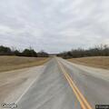 Loose calf on roadway near Highway T and Golden Avenue