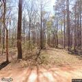 Tree blocking Gold Mine Branch Road