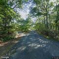 Tree down on Prospect Trail near Route 1
