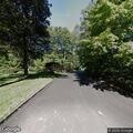 Sick raccoon reported in backyard on Raven Place