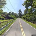 Tree blocking roadway on East Alford Road