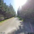 Tree blocking Southwest 280th Street roadway