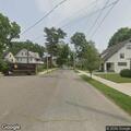 Dog attacked by another dog near Birchwood Ave