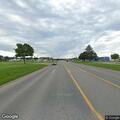 Injured deer reported on roadway near I-75 Spur